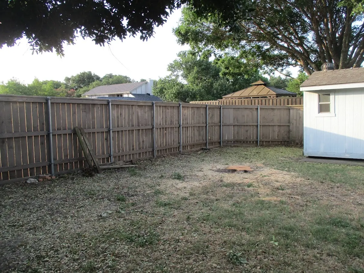 Cleared yard after professional tree removal in West Monroe