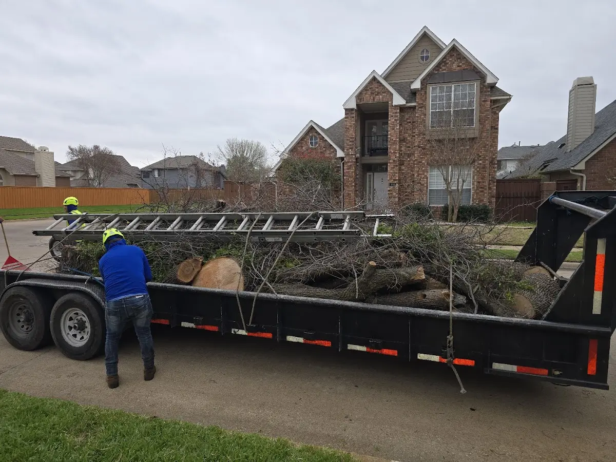 Expert Tree Removal with proper safety equipment in West Monroe